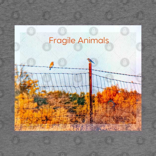 FRAGILE ANIMALS by Noah Monroe